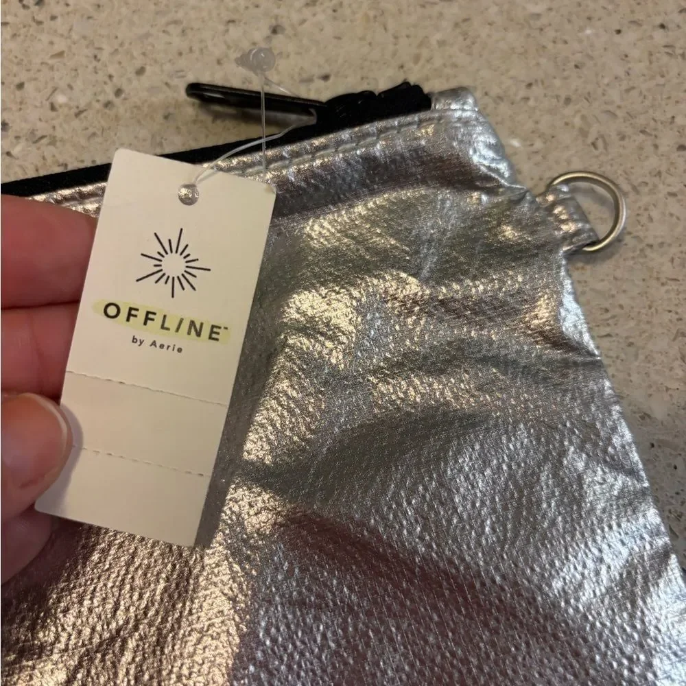 Silver Metallic Zip Pouch by Aerie